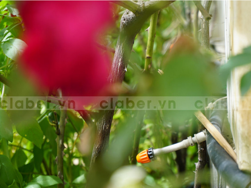 Khi nào thiết bị tưới nước thông minh cần đến bù áp