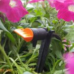Thiết bị tưới rainbird thích hợp với loại cây trồng nào