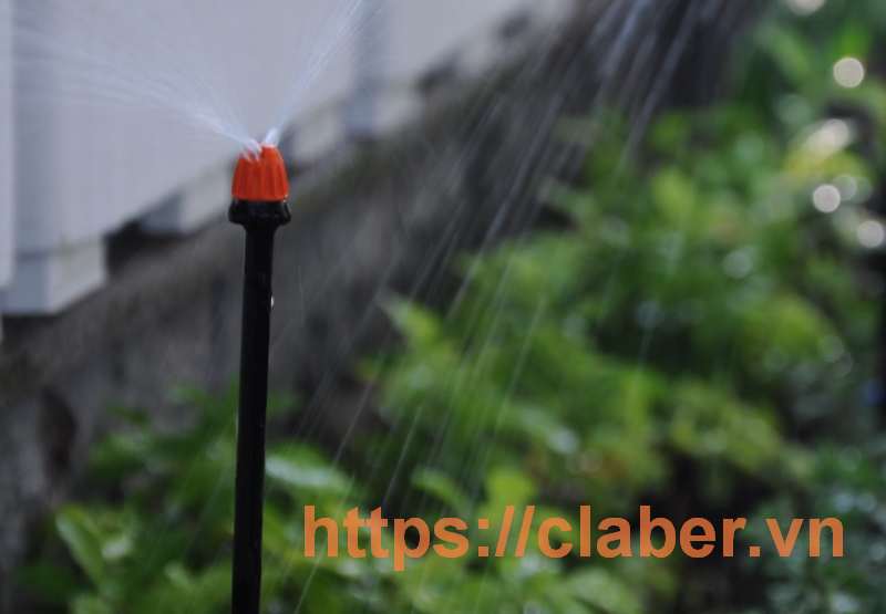 Thiết bị tưới phun sương dành cho loại cây nào