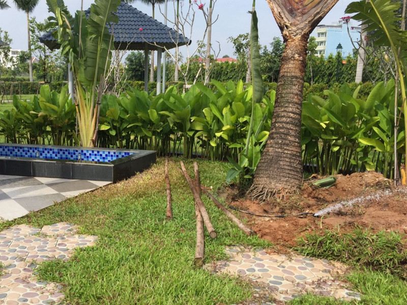 Top 10 đánh giá tốt về thiết bị tưới sân vườn từ khách hàng