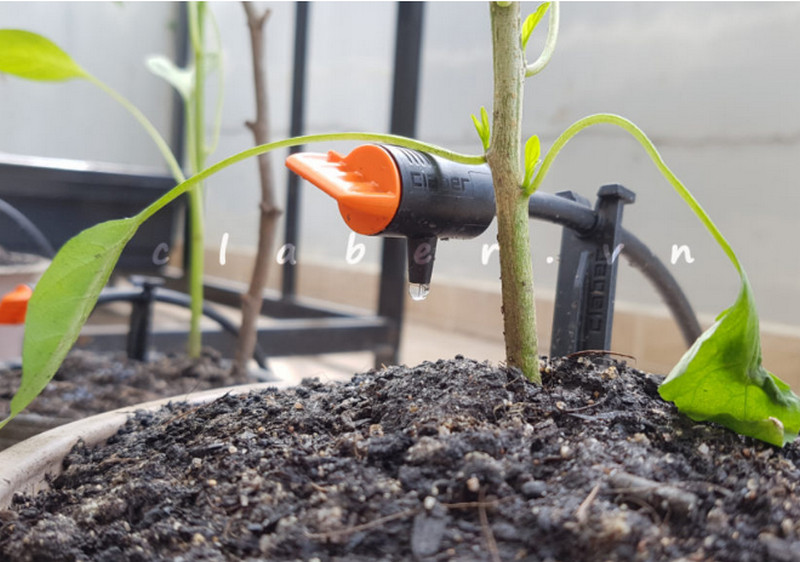 Tuyệt chiêu sử dụng Thiết Bị Tưới HCM tiết kiệm đến 80% lượng nước