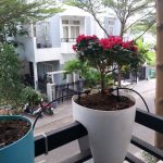 Chi phí đầu tư Thiết bị tưới Công nghệ cao năm 2019