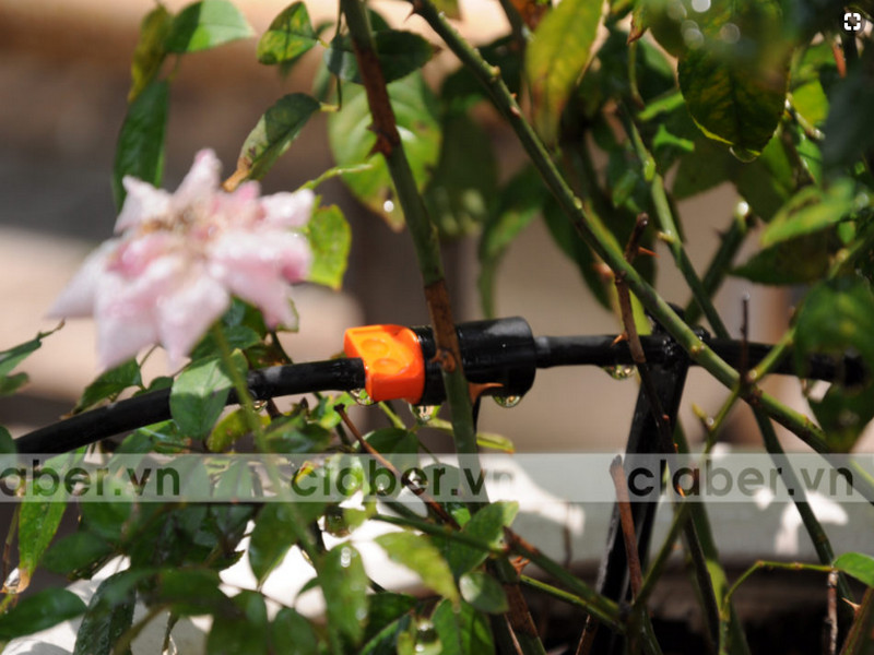 1001 mẹo hay giúp tăng tuổi thọ Thiết Bị Tưới Tp.HCM