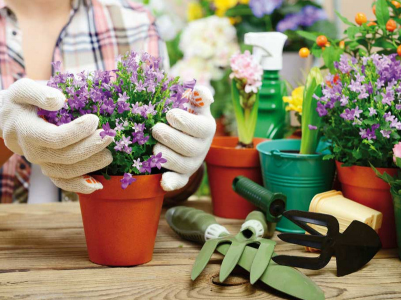 Bảng báo giá Thiết Bị Tưới Cảnh Quan tốt nhất năm 2019