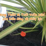 Sử dụng Thiết Bị Tưới Vườn hiệu quả cần hiểu đúng về thủy lực