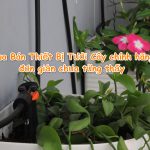 Cách mua Bán Thiết Bị Tưới Cây Chính Hãng đơn giản chưa từng thấy