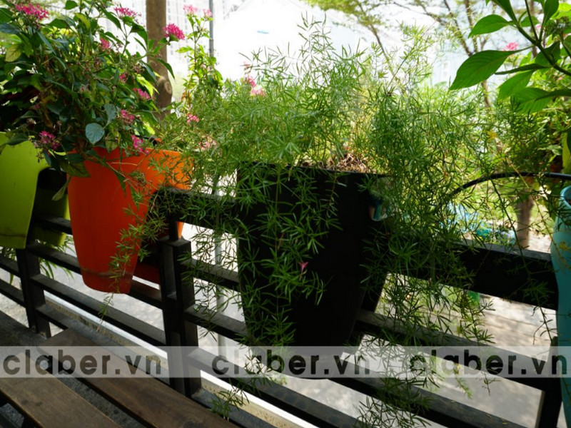 Thiết Bị Phun Tưới cảm biến thời tiết giúp tiết kiệm chi phí vận hành