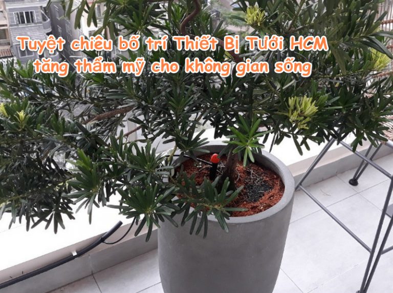 Tuyệt chiêu bố trí Thiết Bị Tưới tại HCM tăng thẩm mỹ cho không gian sống