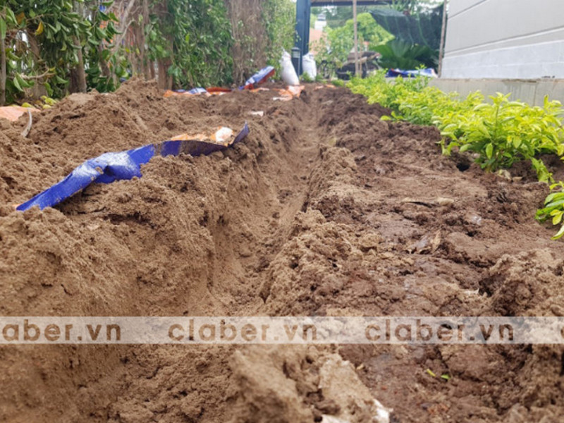 Tuyệt chiêu bố trí Thiết Bị Tưới HCM tăng thẩm mỹ cho không gian sống