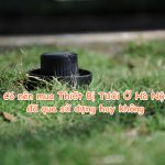 Có nên mua Thiết Bị Tưới Ở Hà Nội đã qua sử dụng hay không