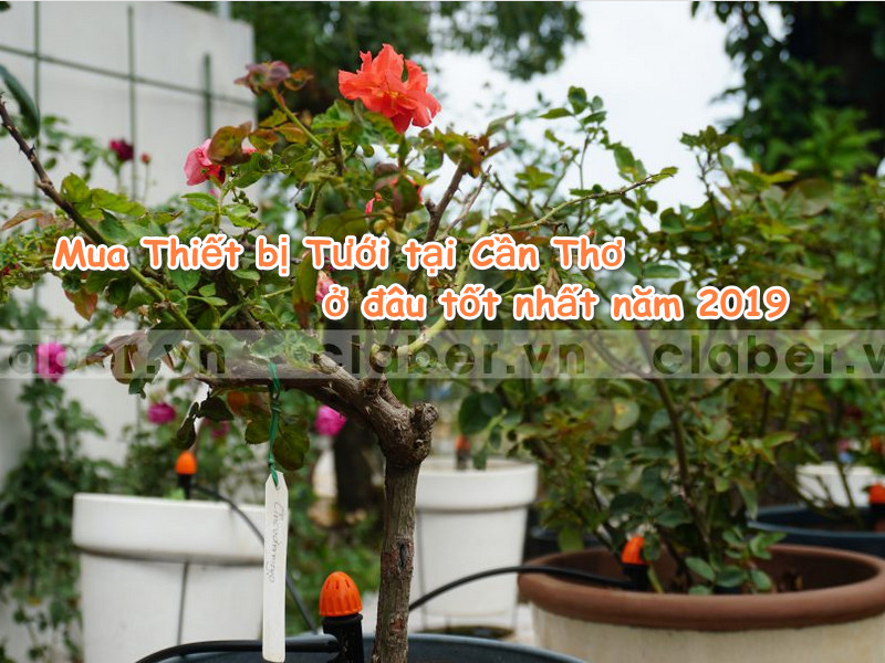 Mua Thiết bị Tưới tại Cần Thơ ở đâu tốt nhất năm 2019