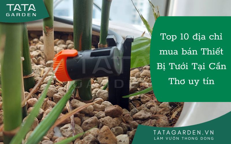 Địa chỉ bán thiết bị tưới cây uy tín