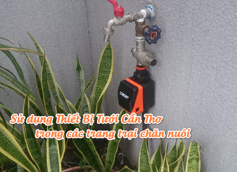 Sử dụng Thiết Bị Tưới Cần Thơ trong các trang trại chăn nuôi