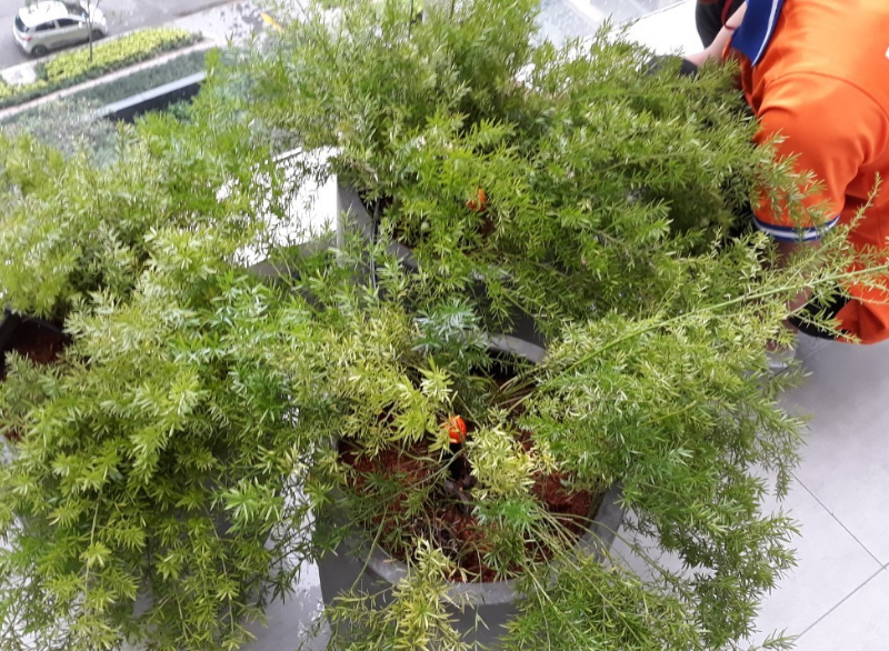 Thiết Bị Tưới Cần Thơ, ứng dụng thông minh cho cuộc sống hiện đại