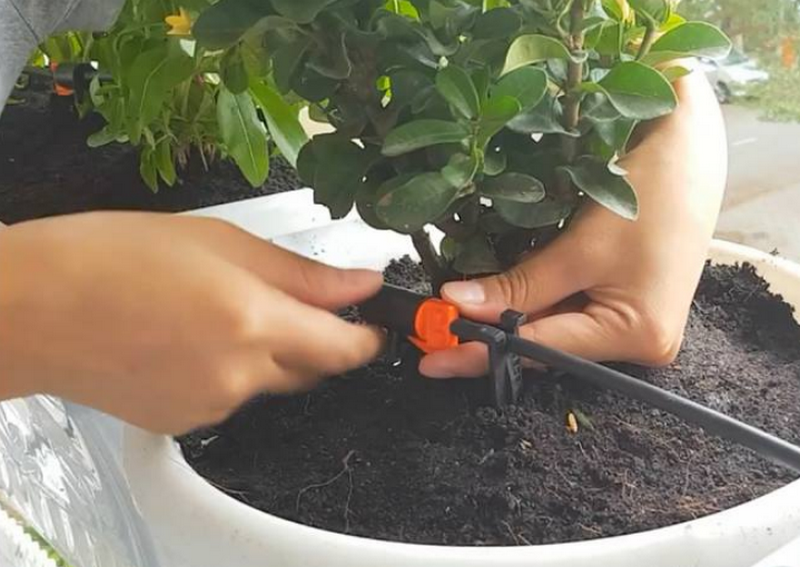 Các bước dự trù chi phí đầu tư Thiết Bị Tưới Ở Hà Nội chuẩn xác