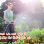 Cảnh báo mối nguy hại nếu bạn Tưới Cây Khi Trời Nắng gắt