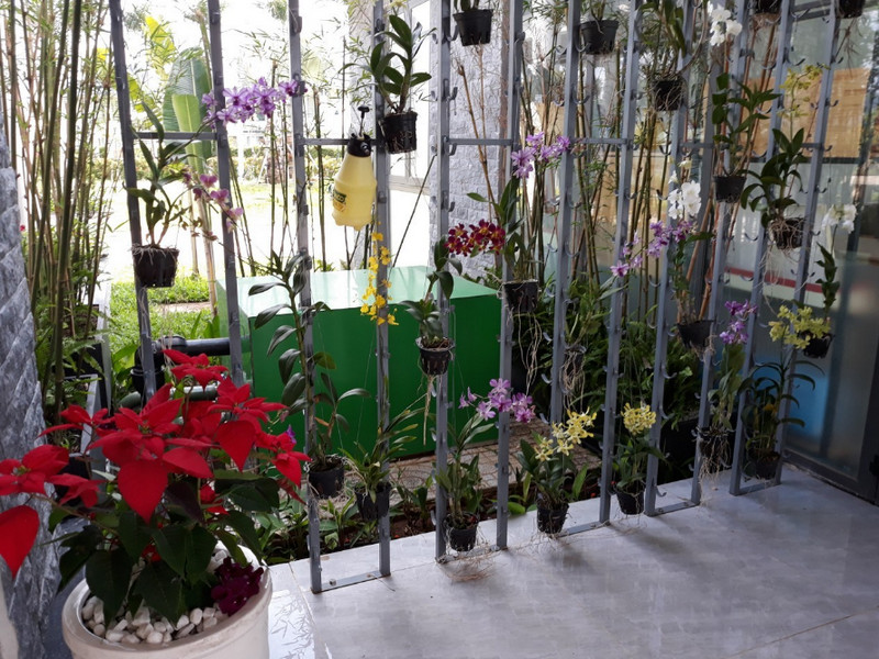 tuoi-cay-bang-nuoc-vo-gao