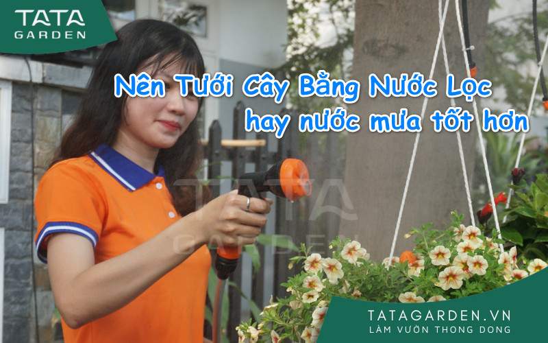 Giải pháp tưới cây bằng nước lọc