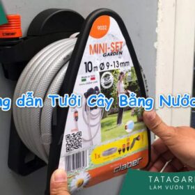 Hướng dẫn cách Tưới Cây Bằng Nước Tiểu an toàn cho sức khỏe