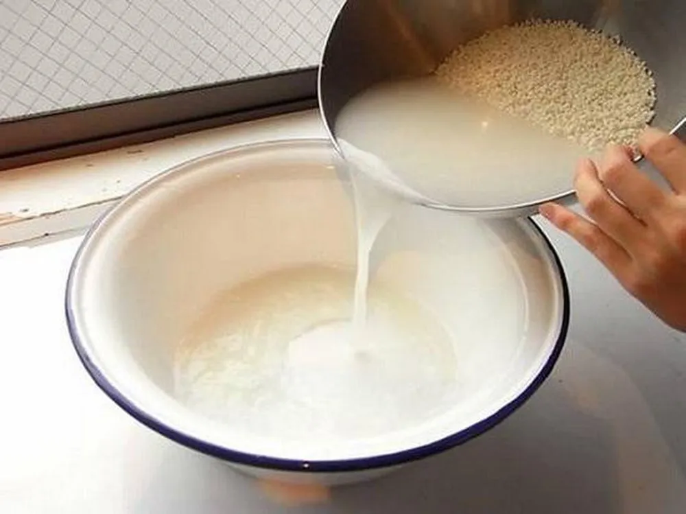 Cách tưới cây bằng nước vo gạo