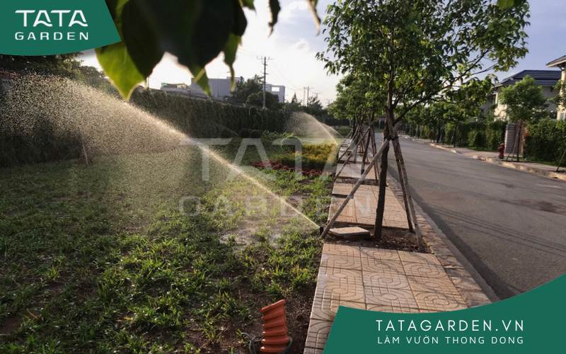 Thiết bị tưới đang hoạt động để tưới cho cây sau cơm mưa