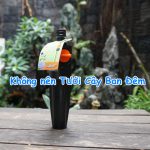 Tưới Cây Ban Đêm, đừng làm nếu không muốn cây bị nấm bệnh