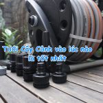Bật mí Tưới Cây Cảnh vào lúc nào là tốt nhất