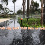 Mách bạn cách Tưới Cây Dưới Trời Mưa hạn chế ngập úng