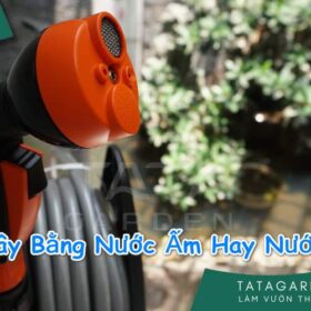 Tưới Cây Bằng Nước Ấm Hay Nước Đá tốt hơn