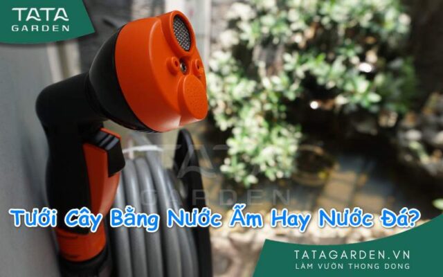 Thiết bị tưới cây cao cấp