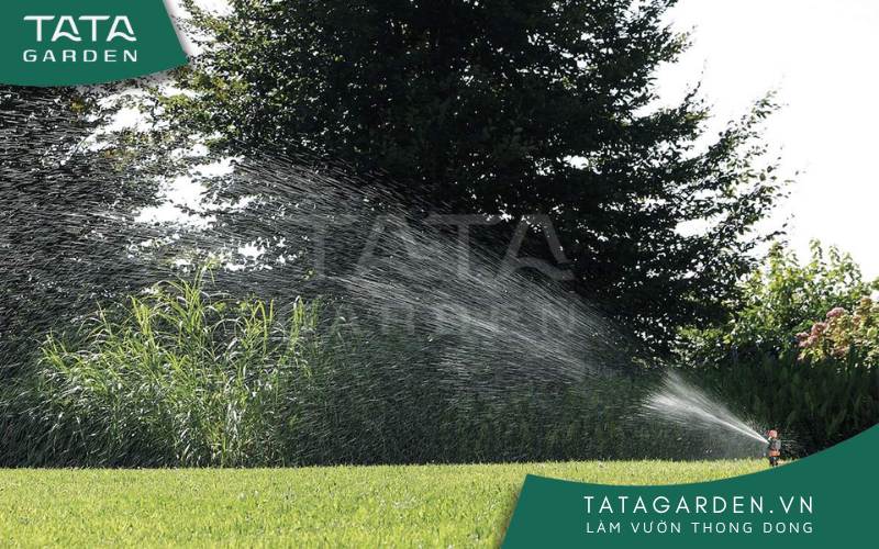 Thiết bị tưới đang tưới cỏ