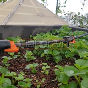 Hệ thống tưới thông minh có gì khác hệ thống tưới tự động thông thường?