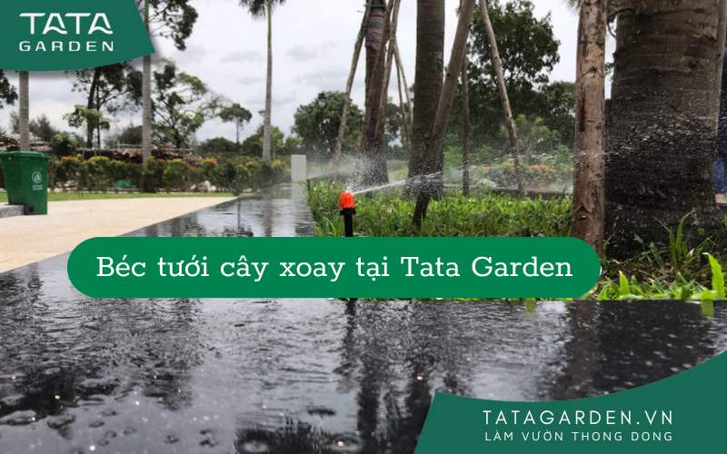 Béc tưới cây xoay