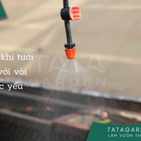 7 lưu ý khi tưới cây với áp lực nước yếu