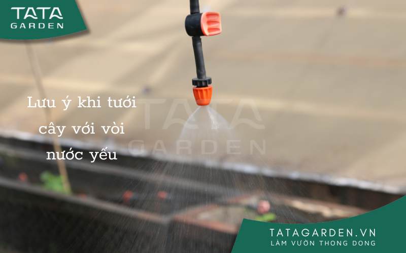 Tưới cây với áp lực nước yếu