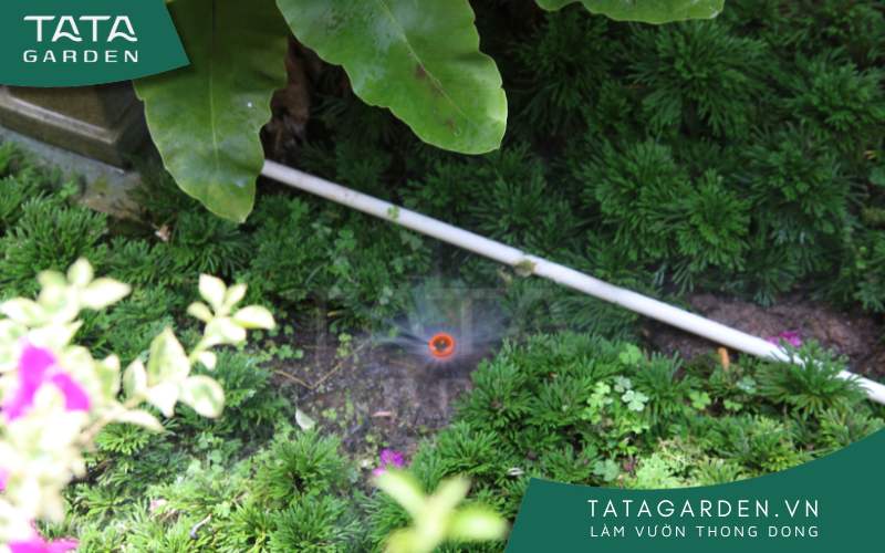 Một mẫu béc tưới xoay đang hoạt động