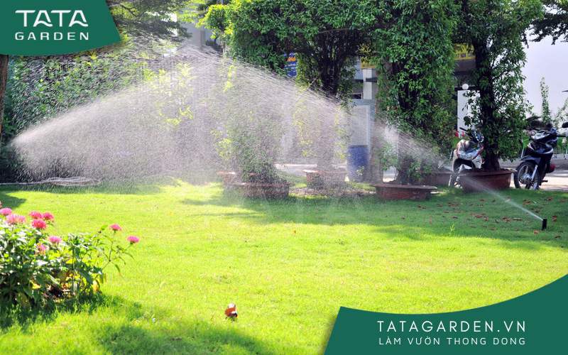 Béc tưới cây xoay được sử dụng để tưới cỏ