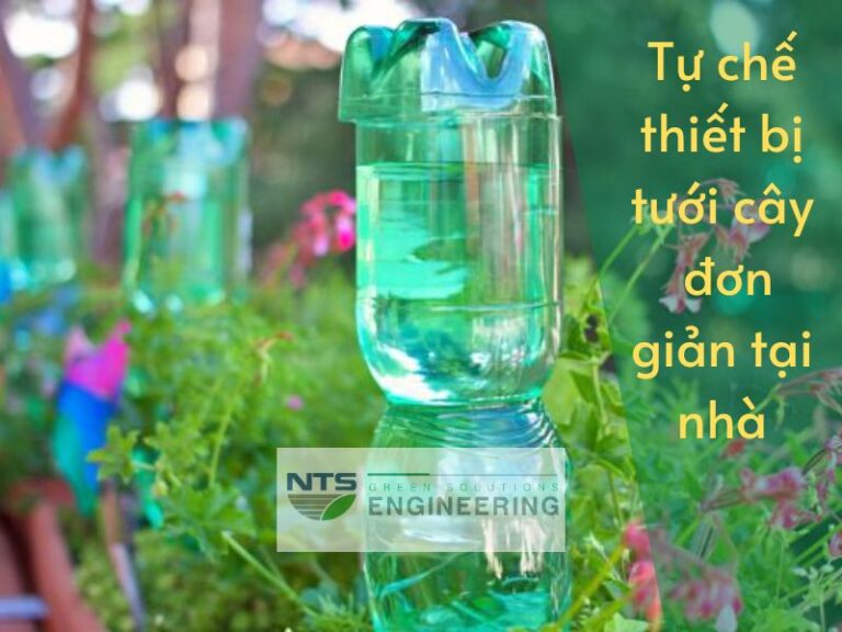 Tự chế béc tưới cây với đầu tưới làm bằng chai nhựa bỏ đi