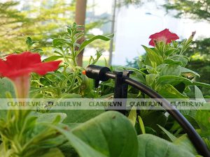 cách tưới cây an toàn ban đêm