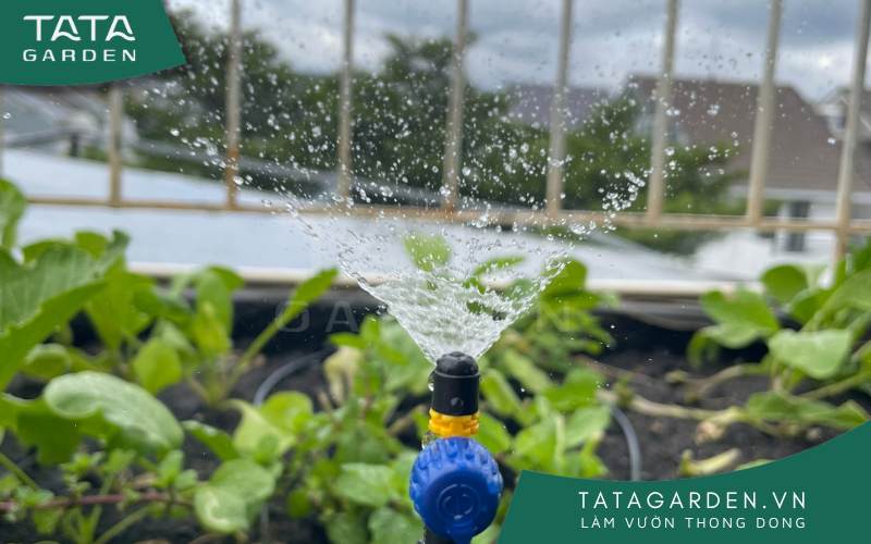 Áp dụng giải pháp khắc phục áp lực nước yếu phù hợp để nâng cao hiệu quả tưới