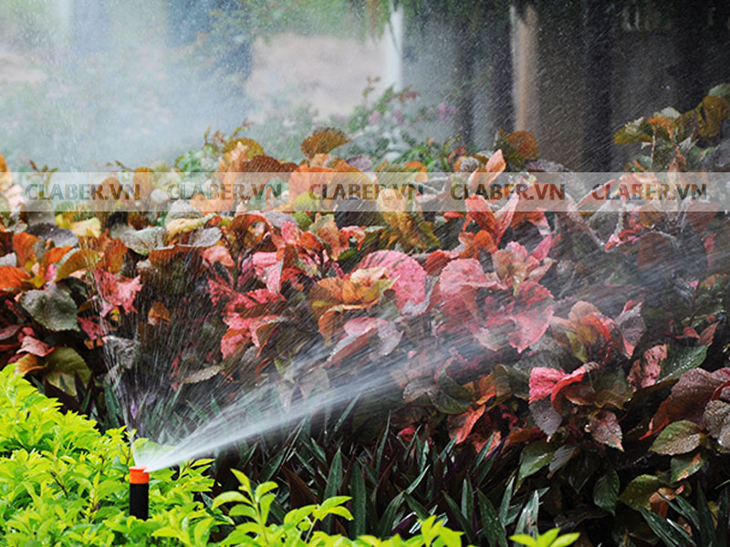 mach-ban-6-cach-tuoi-cay-vua-an-toan-lai-tiet-kiem-70-nuoc-1