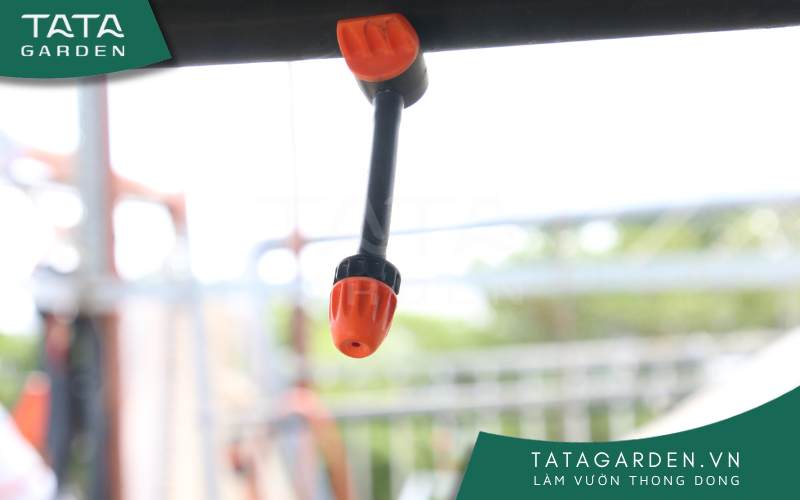 Có nhiều nguyên nhân khác nhau khiến nguồn nước tưới cây bị yếu