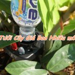 Béc Tưới Cây Giá Bao Nhiêu mới là tốt nhất 2019