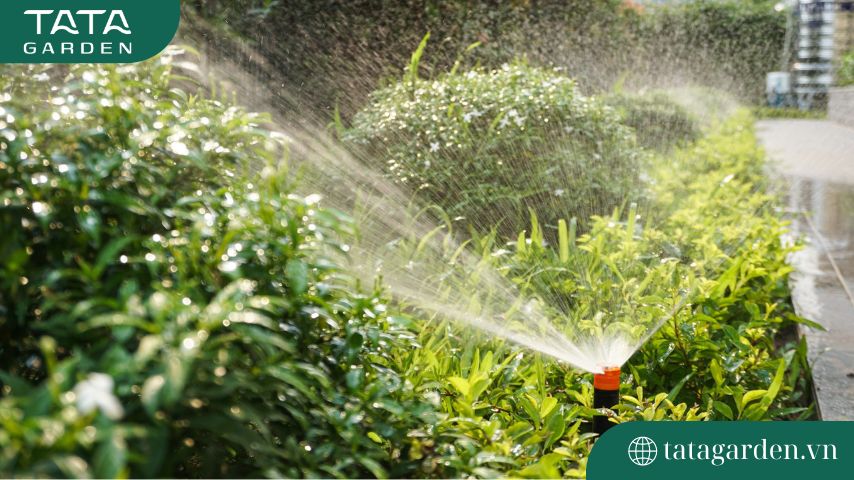 Top 15 mẫu Béc Tưới Cây được khách hàng ưa chuộng