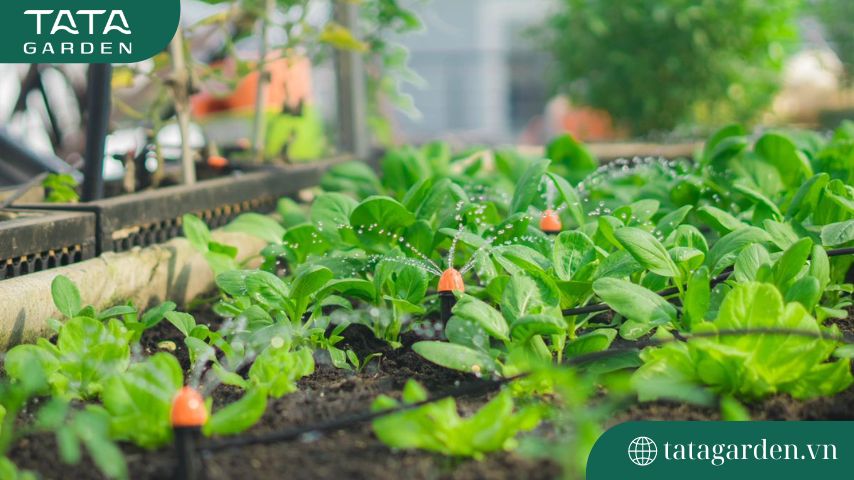 Top 15 mẫu Béc Tưới Cây được khách hàng ưa chuộng