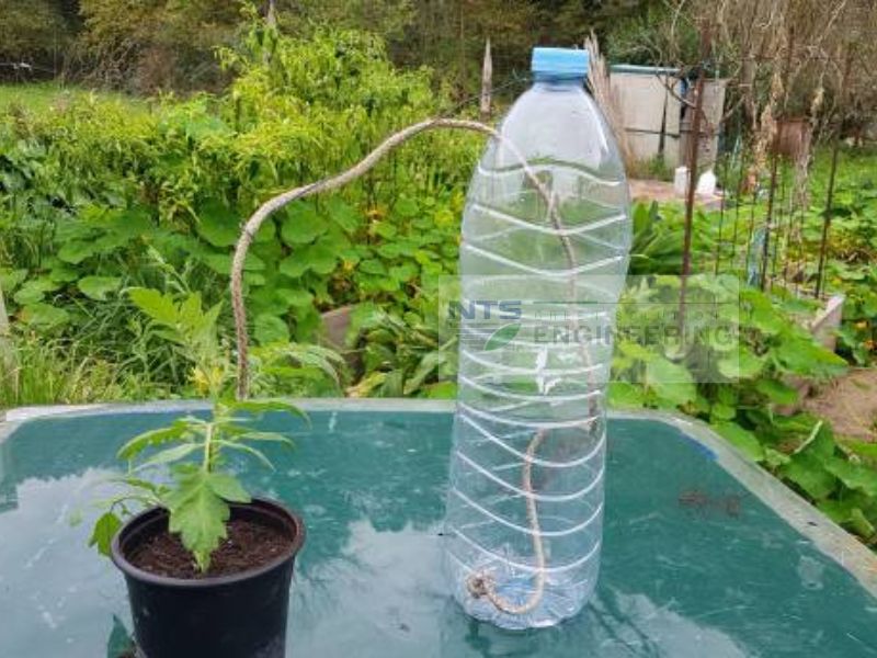 Tự chế béc tưới cây chỉ bằng một dây cotton