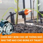 Nên chọn máy bơm cho hệ thống tưới nhỏ giọt như thế nào cho đúng kỹ thuật?