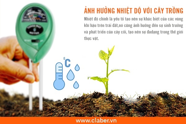 ẢNH HƯỞNG CỦA NHIỆT ĐỘ VỚI CÂY TRỒNG