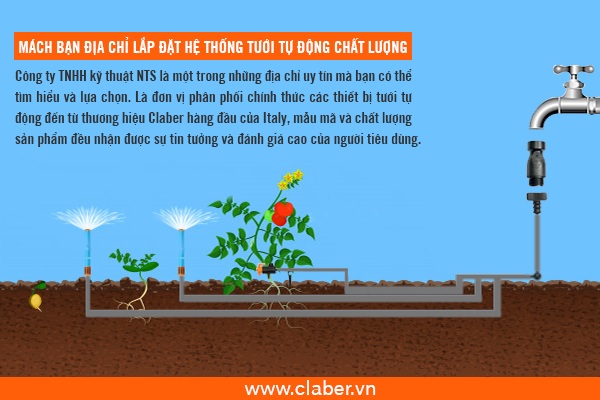 MÁCH BẠN ĐỊA CHỈ LẮP ĐẶT HỆ THỐNG TƯỚI TỰ ĐỘNG