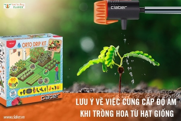 trồng hoa từ hạt giống